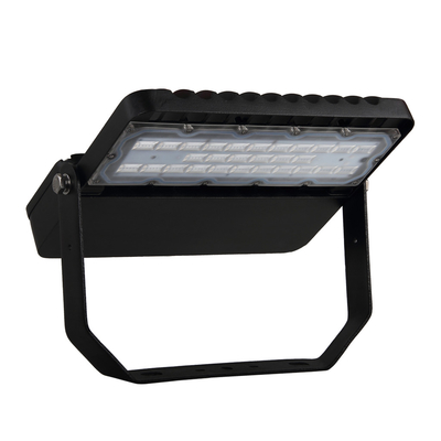 Energooszczędna aluminiowa lampa uliczna LED 10KV High Lumen IP65 100W Sterownik MEANWELL