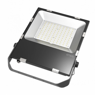 10000-11000lm 100W Driverless LED Floodlight 120 stopni kąt wiązki 5 lat gwarancji