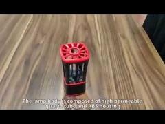 Car UVC Sterilizer Light